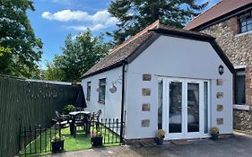 Ty Mynydd Lodge Holiday Home